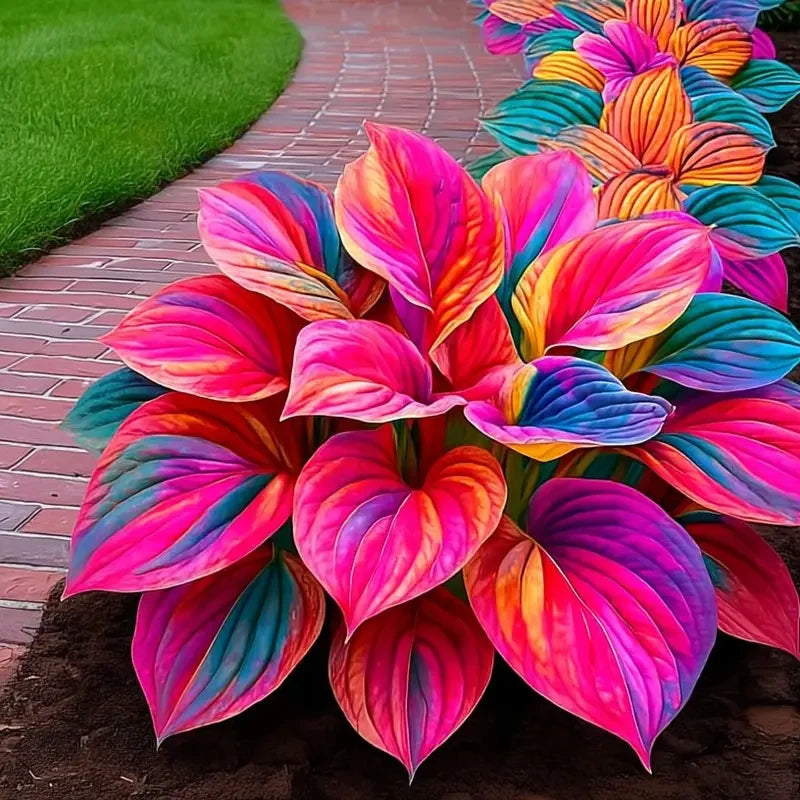 /69b8fce3df84f8000adc6369/2026/04/14/product-img-69ddede4f707c0639afa460b.png